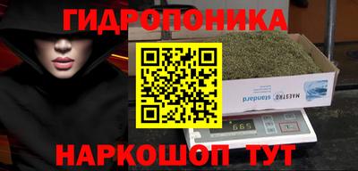 бошки Будённовск